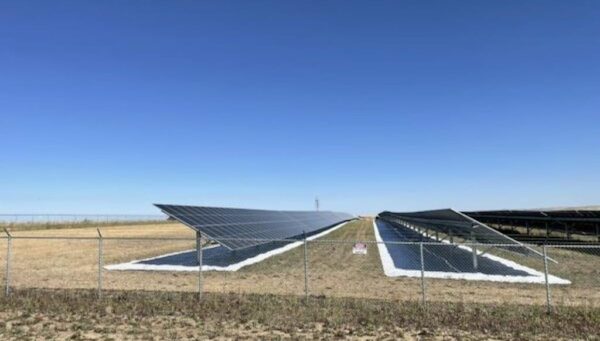 The unexpected key to increasing the output of bifacial solar panels: white soil.